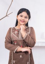Bronze Girls 2 Pcs Kameez