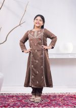Bronze Girls 2 Pcs Kameez
